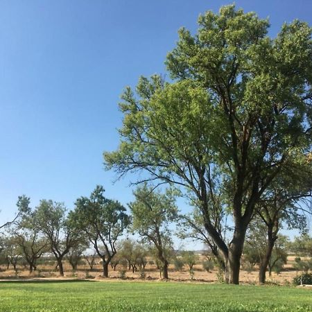 Finca El Relax Colmenar de Oreja Exteriér fotografie