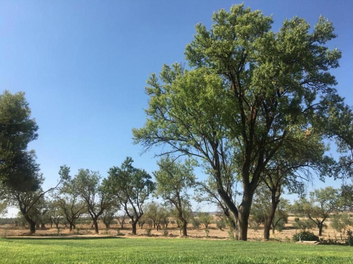 Finca El Relax Colmenar de Oreja Exteriér fotografie